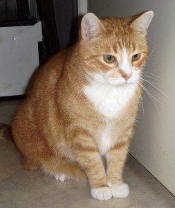 Danilo 9 år!