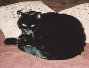 Liva 2
