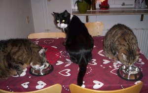 Topsy julen_2010