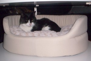 Topsy julen_2010-2
