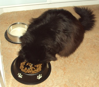 Gordon-5y