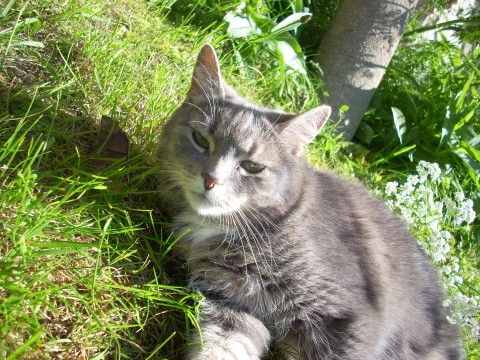 Cleo jan 2011