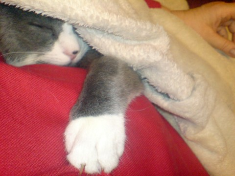 Helge under filten