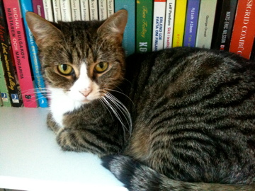Mon Ami (3)