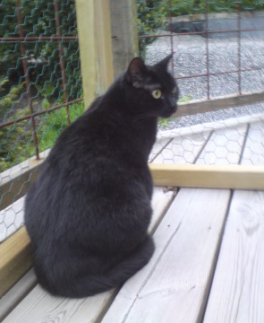 Anouk maj 2011