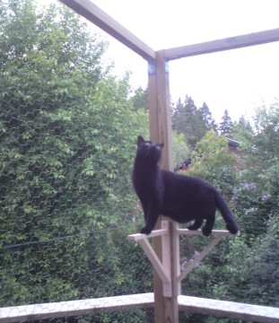 Elke maj 2011