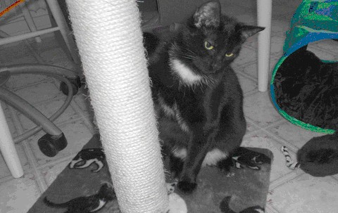 Imina maj 2011-2