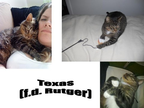 Rutger aug 11-2
