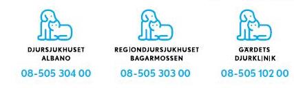 djursjukhusen 2012-logga