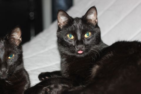 Salinas-Wafers jan 12-3