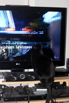 Salinas-Wafers jan 12-4