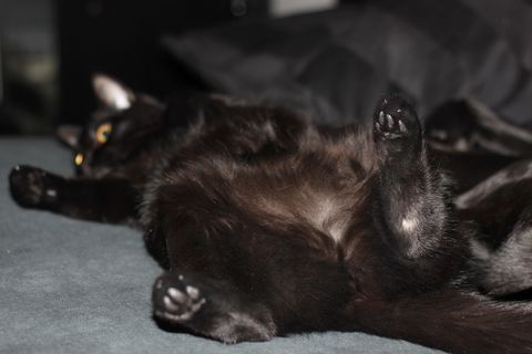 Salinas-Wafers jan 12-5