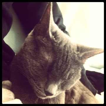 Riko maj 12-2