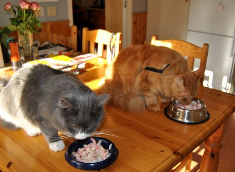 Inge maj 12-2