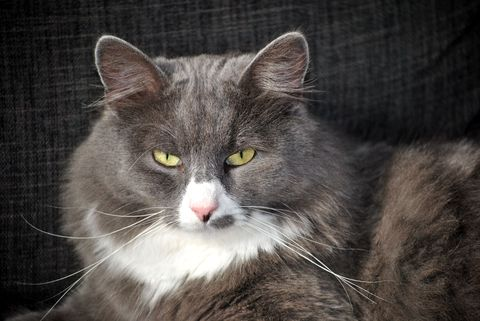 Inge maj 12-3