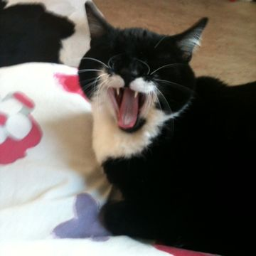 Nina maj 12