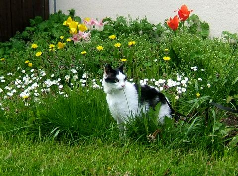 Aliette maj 12