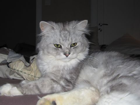 Natan juni 12