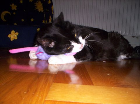 Topsy juli 12