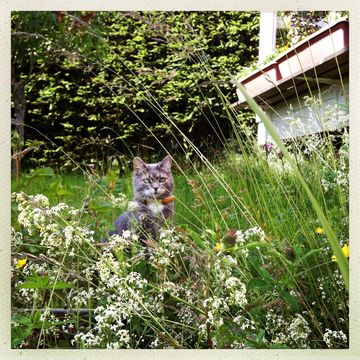 Cleo2 sep 12