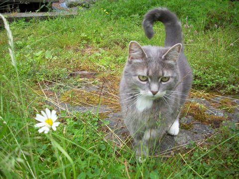 Cleo2 sep 12-2