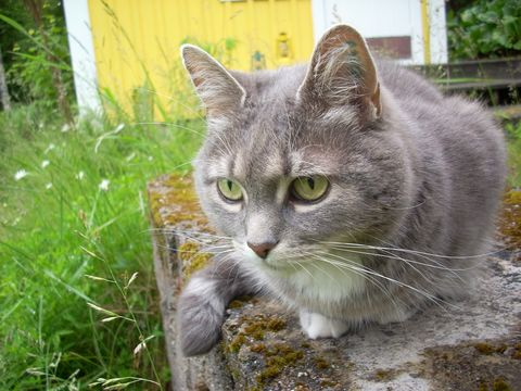 Cleo2 sep 12-3