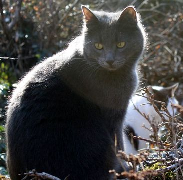Bixit-Månsan okt 12-3