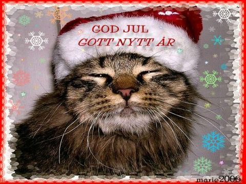 Arja dec 12