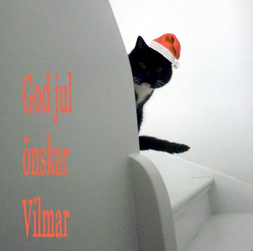 Vilmar dec 12