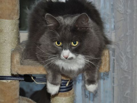 Inge dec 12
