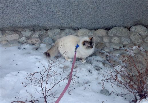 Kerstin2 dec 12-2