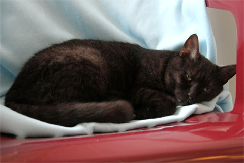 Lennox (3)
