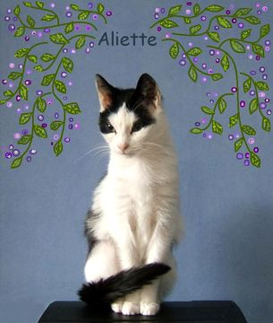 Aliette apr 13