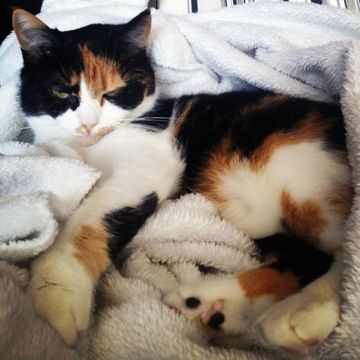Krista maj 13