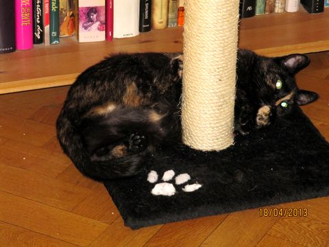 Mila & Cabrini maj 13
