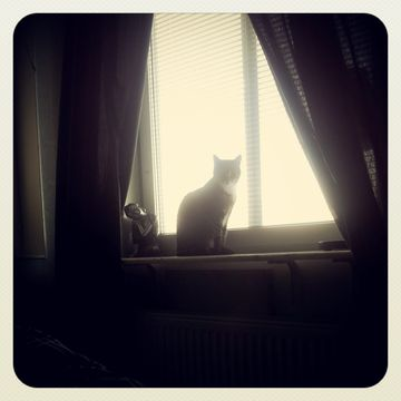 Calori maj 13