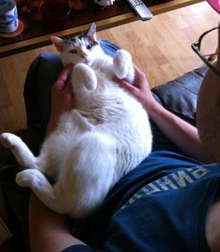 Max maj 13