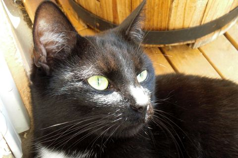 Imina o MM juni 13-2