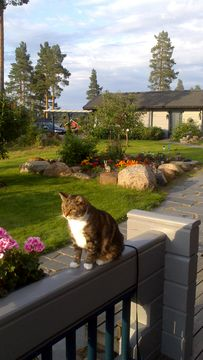 Rönna sep 13-3