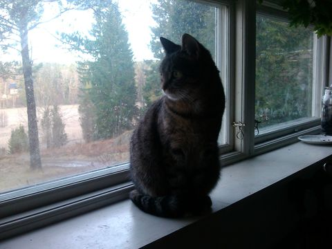 Mellie dec 13