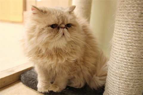 Jerzy (2)_red