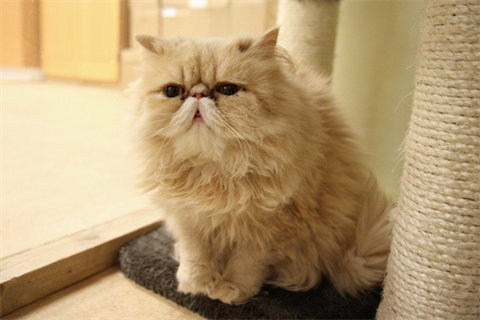 Jerzy (3)_red