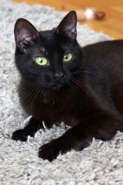Tauriel apr 14-4