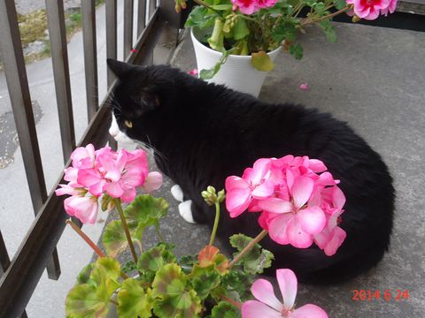 Stina3 jun 14