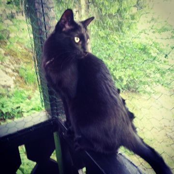 Soya juli 14
