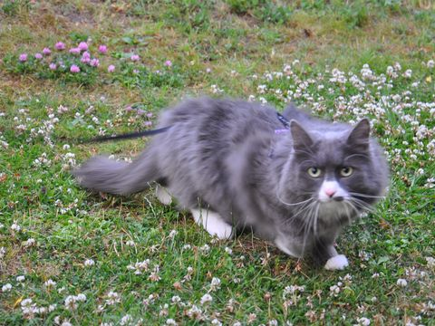 Inge aug 14