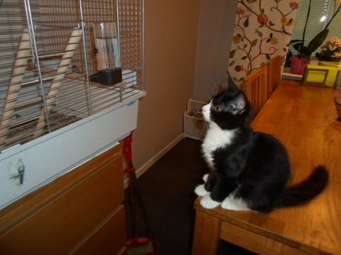 Niamh sep 14-3