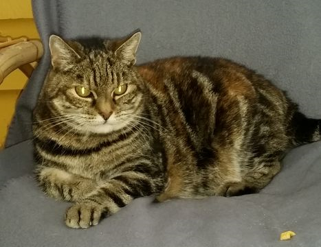 Meg sep 14