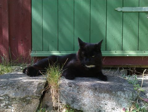 Örjan sep 14-3