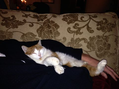 Lasse dec 14